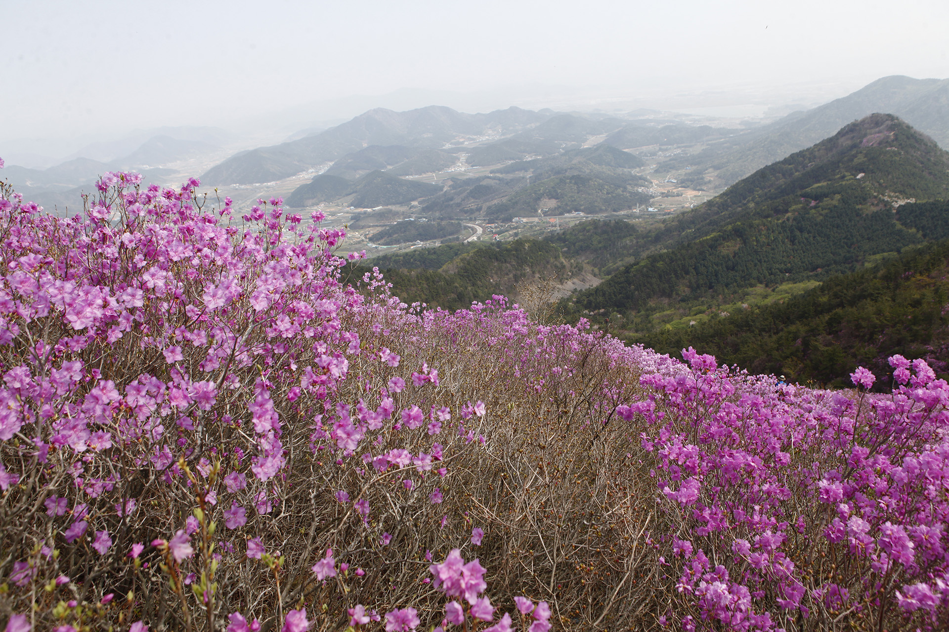 천주산